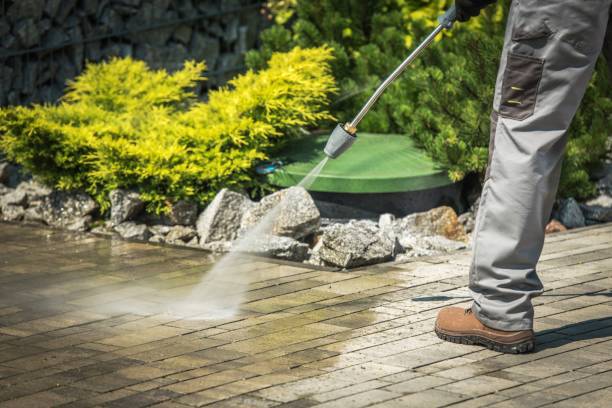 Best Roof Washing  in Eden, TX